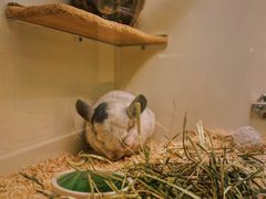 -龙猫仔乐园(惠福东路店)