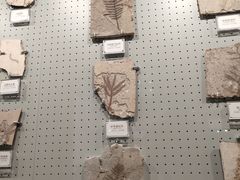 -辽宁古生物博物馆