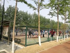 -东升文体公园