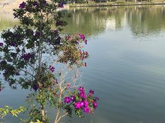 -东莞植物园