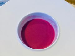 -诺莱仕游艇会