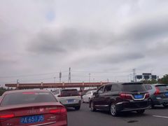 -迪士尼乐园停车场
