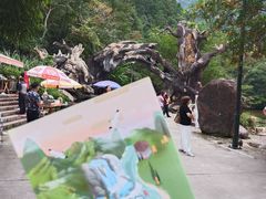 -龙湾潭国家森林公园