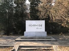 -白水寺森林公园
