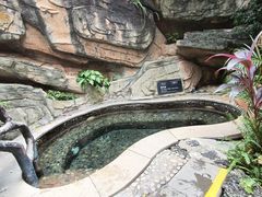 -海口观澜湖火山温泉谷