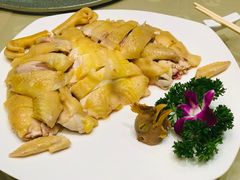 白切阳山鸡-广东胜利宾馆西关粤中餐厅