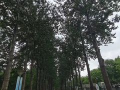 -康庄公园