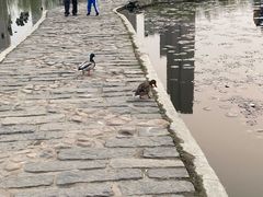 -前关湿地公园