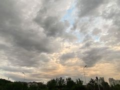 -老张烤羊(王哥庄店)