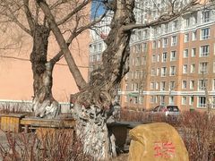 -哈尔滨师范大学(松北校区)