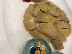-清心鸡沙田乳鸽店·非遗传承(粤垦路店)