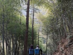 -东天目山风景区