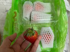 -果叔鲜果(广州广氮花园店)