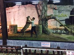 -清迈夜间动物园