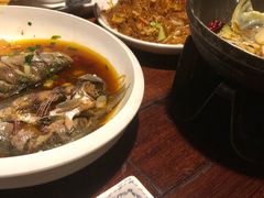 -四季春