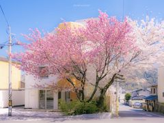 -重八牛府(花乡奥莱店)