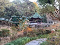 -申粤轩酒楼·三十年粤菜经典(丁香花园店)
