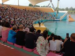 -秦皇岛乐岛海洋王国