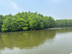 -尚湖风景区