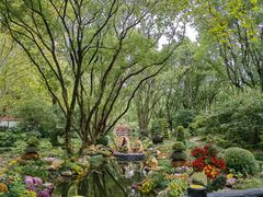 -上海共青森林公园