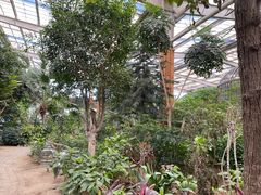 -南宫五洲植物乐园