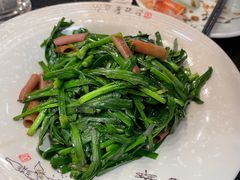 菲菜炒海肠-胶东海鲜大排档(北太平庄店)