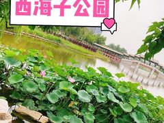 -西海子公园