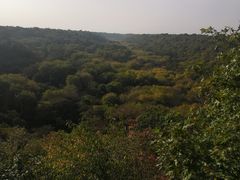 -大青沟风景区