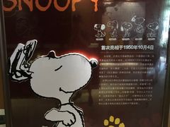 -史努比缤纷世界