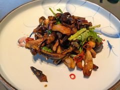 巧拌双菇-晟永興烤鸭店(五道口店)