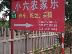 -小六农家乐(崇明西沙湿地店)