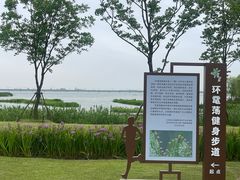 -中加枫华国际学校