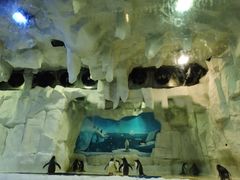 -华夏文旅海洋公园