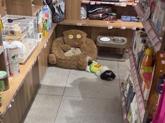 -FAELING PETS美天灵宠物(富力广场店)