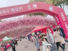 -南汇桃花村
