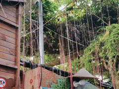 -呀路古热带植物园