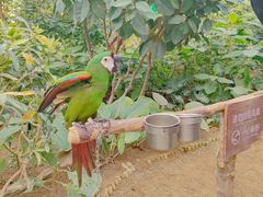 -南宫五洲植物乐园