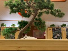 -汤泉良子(金源店)