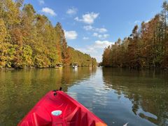 -上海海湾国家森林公园