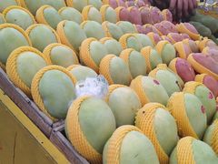 -三亚新鸿港水果一级批发市场