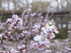 景点-元大都城垣遗址公园