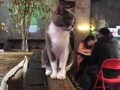 -MIKAKU(万达广场上海宝山店)