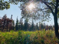 -艾溪湖湿地公园