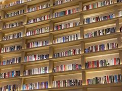 -深影国际影城(学院南路店CGS中国巨幕店)
