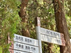 -四门塔风景区