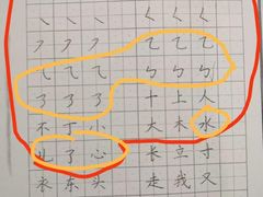 -赵汝飞练字硬笔书法(航头校区)