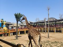 -西霞口神雕山野生动物世界