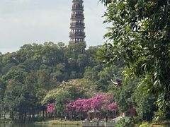 -顺峰山公园