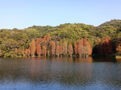 -广州市白云山风景名胜区