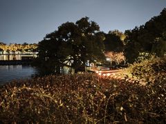 -湖畔居茶楼(湖滨店)